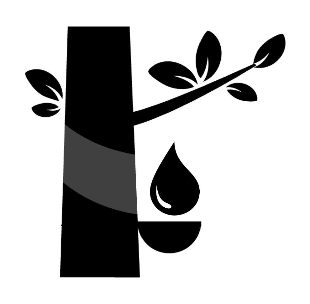 Superior Latex Pillow